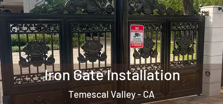 Iron Gate Installation Temescal Valley - CA